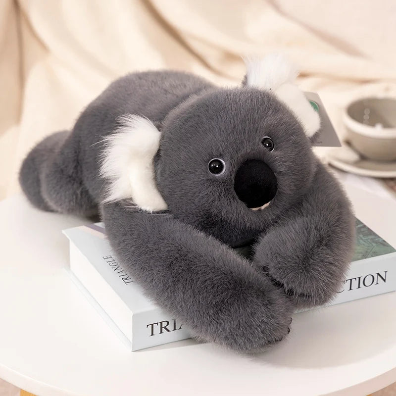 Knuffel met Lange Armen - Panda, Koala, Dinosaurus & Meer