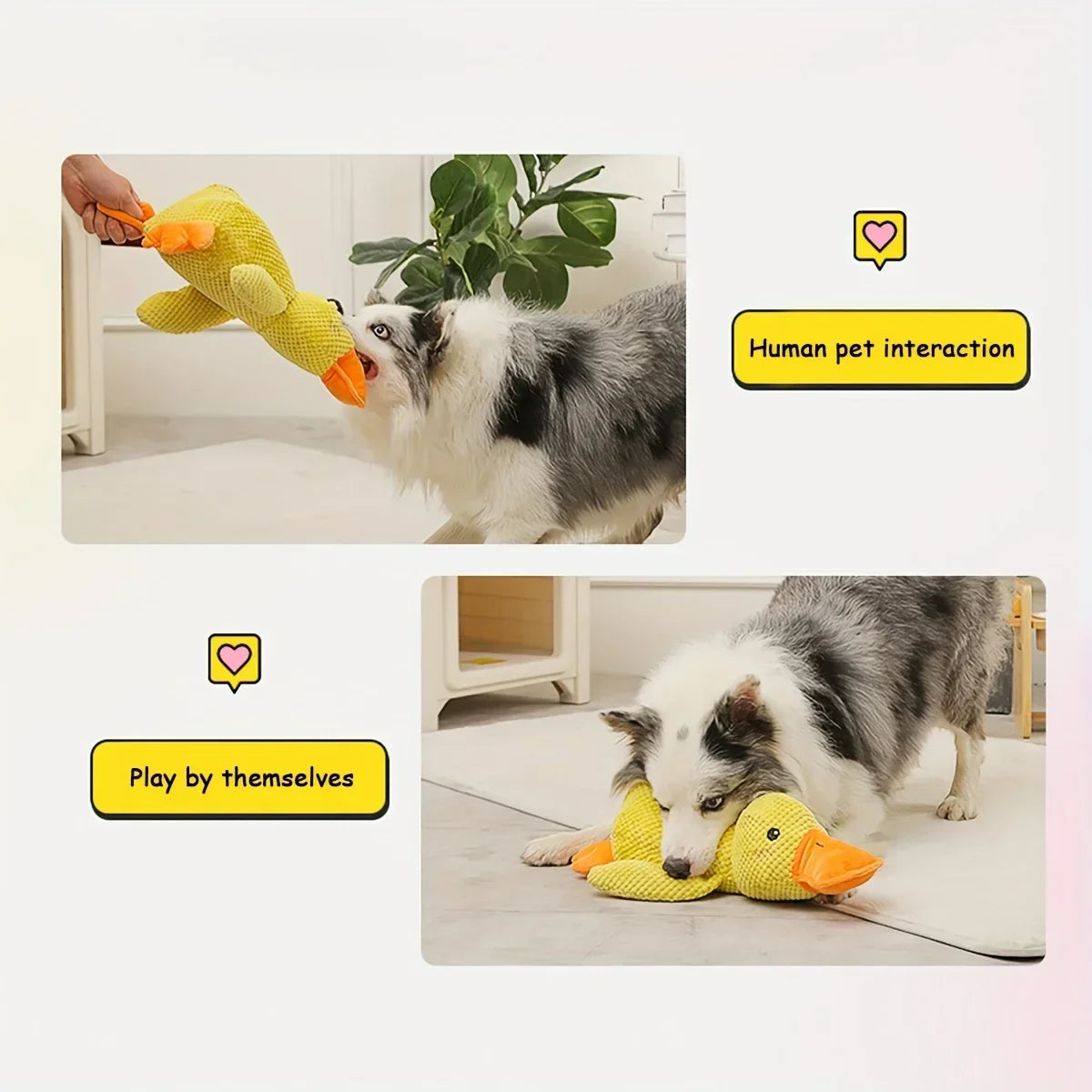 Hondenspeeltje Eend met Piep - Duurzaam Pluche Knaagbot voor Honden
