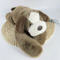 Knuffel met Lange Armen - Panda, Koala, Dinosaurus & Meer