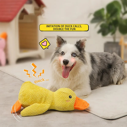 Hondenspeeltje Eend met Piep - Duurzaam Pluche Knaagbot voor Honden